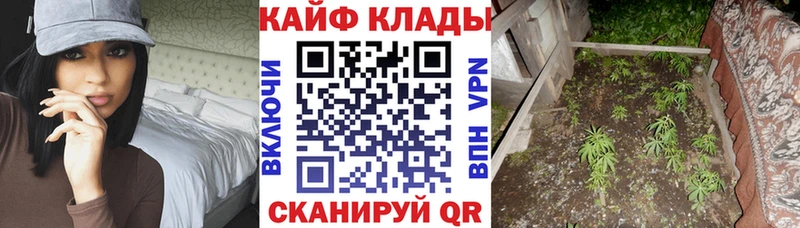 Купить закладку Кокаин  МЕФ  Амфетамин  ГАШИШ  Альфа ПВП  Курлово