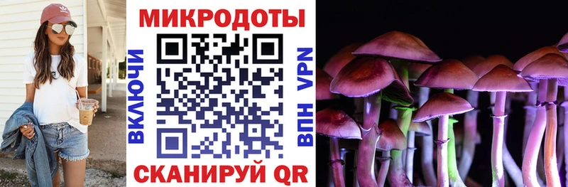 Купить  Курлово  Галлюциногенные грибы Cubensis 